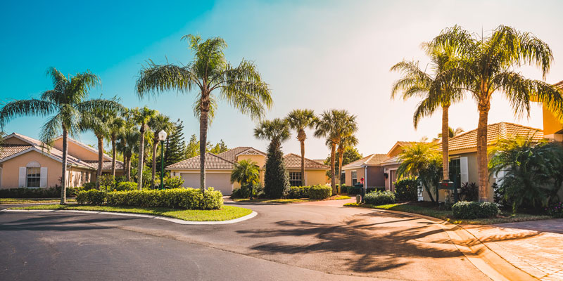 House with palm trees